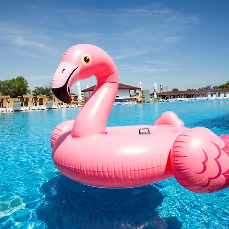 宾馆 Flamingo 贝尔格莱德