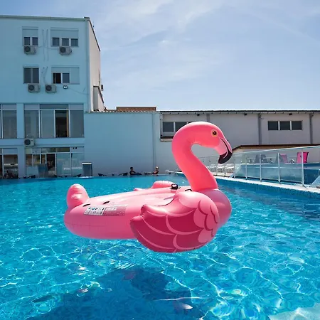 Flamingo 3*